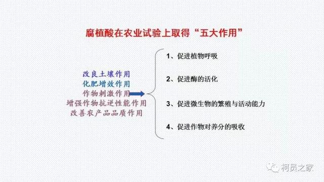 氨基酸、腐殖酸、黄腐酸都是什么东东？有啥用？