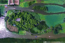 台儿庄做活产业文章，助力乡村振兴 图片