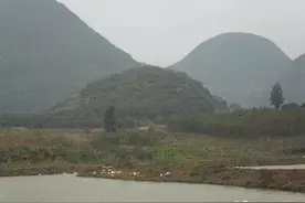 俗语“屋前莫有鹅鸭头，屋后莫有水长流”，农村建房讲究啥？图片