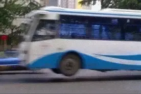 看遍南京美景，坐这4趟公交就够了图片