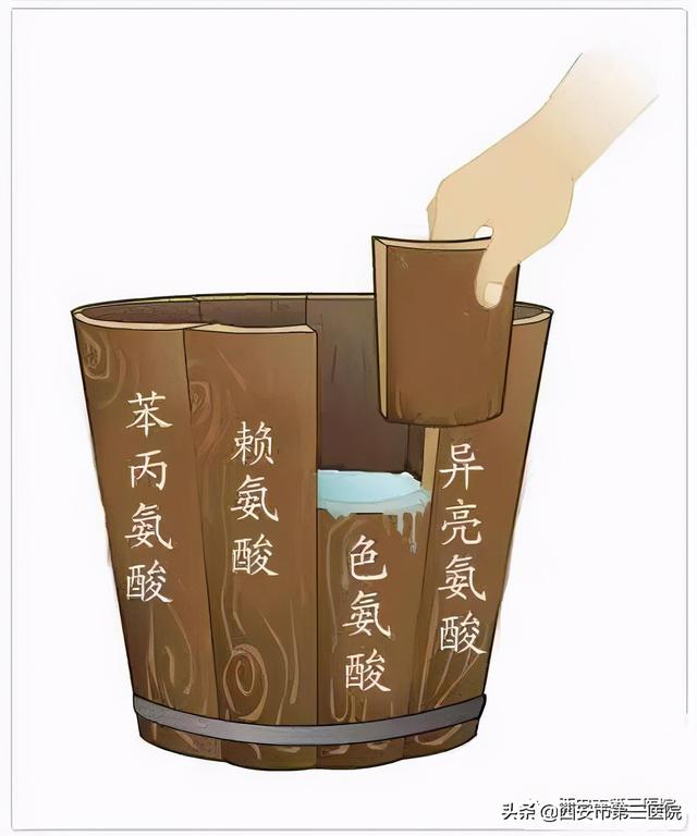 【利好消息】西安市第三医院开展氨基酸检测新项目