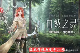 抵制巴宝莉事件持续发酵，瑶双传说或将无限延期，辅助玩家笑了图片