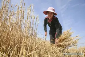 妈妈比爸爸小10岁，28岁那年，她做了三个孩子的“后妈”图片