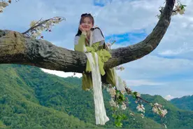 李一桐穿古装趴在树上睡觉，照片中未见吊威亚，网友：注意安全图片