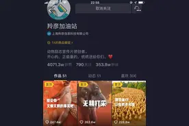 我们从1000个抖音号中精选出10个，帮你了解爆款，轻松上热门！图片