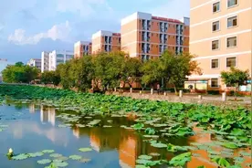 广西大学会计专硕2021考研难度、分数线、复试调剂情况解读图片