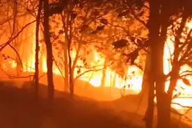 动态｜滴滴故障致用户出现“未支付订单”；幼儿园男童呕吐后趴桌身亡图片