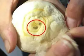 广东某幼儿园给孩子吃发霉面包，声称多喝水就好视频封面