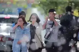 记住这几招，不怕杨树毛毛毛毛毛..！图片