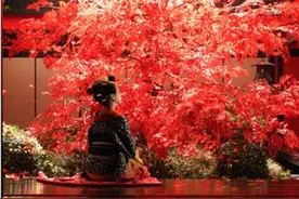揭秘真正的日本花魁：一辈子离不开青楼，28岁就须退休图片