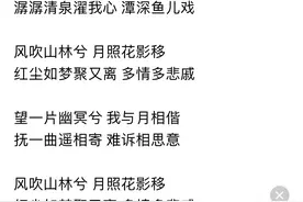 偶尔听到云水禅心这个曲子的配词版本皆为着像，我也写一个版本图片