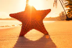 放下不苦情，自愈力不足？学会这些办法自己就能走出来图片