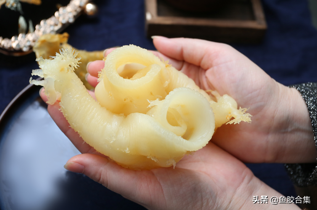 大口赤嘴鱼胶怎么泡发 大口赤嘴鱼胶怎么泡发好吃 大口赤嘴鱼胶怎么泡发 大口赤嘴鱼胶怎么泡发好吃