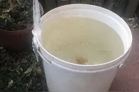 -9.9度，南非冷出新低！南半球大降温，难道又是极端气候惹的祸？图片