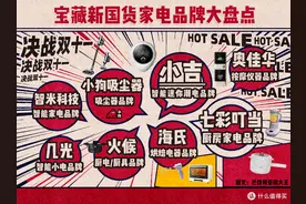 双11国货崛起！8个宝藏新国货家电品牌大盘点（附经典产品推荐）图片