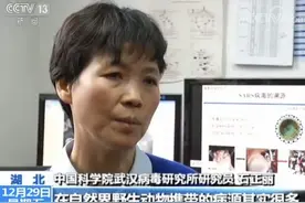 武汉病毒所石正丽出逃向美使馆申请庇护？本人否认图片