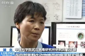 武汉病毒所石正丽出逃向美使馆申请庇护？本人否认图片