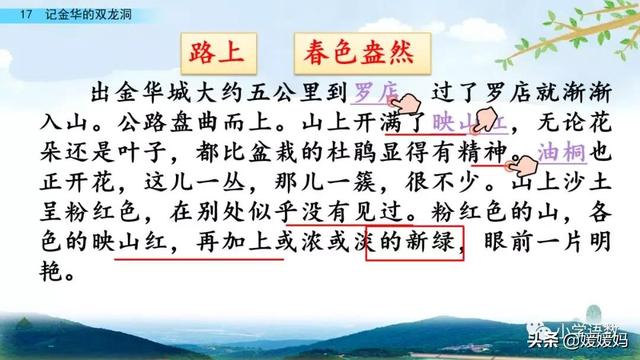 四年级下册语文第17课《记金华的双龙洞》图文详解及同步练习