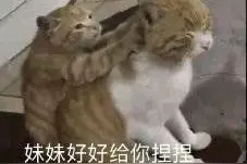 金金金牛座图片