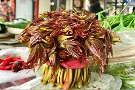 @涟水人，又到了吃野菜的季节啦图片