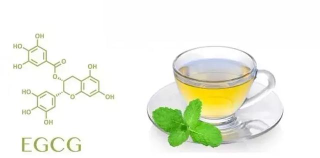 关于茶叶的这些流言都是假的，很多人还信以为真…