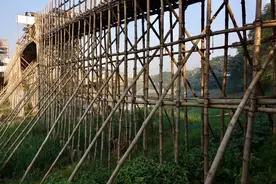 揭秘孟加拉特色竹桥搭建过程，就地取材 造价低廉图片