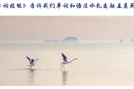 《牛津单词技能》告诉我们单词和语法水乳交融切莫死记硬背图片