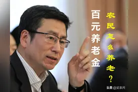 白岩松谈农民“百元养老金”难养老，专家：22倍的城乡差距难补齐图片