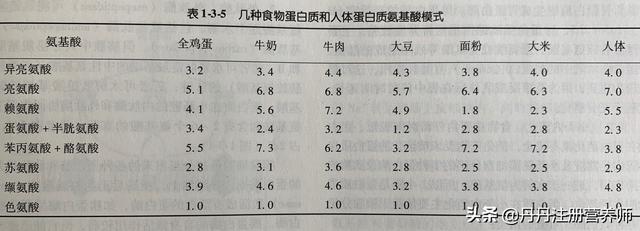 下篇：你每天到底需要多少蛋白质，又该从哪里获取？看完就明白了