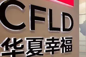 传华夏幸福联席主席吴向东加入鹏瑞集团 中国平安与华夏幸福合作或已流产图片