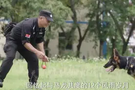 警犬爸爸和他的“汪星人”战队图片