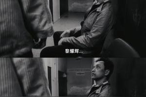 电影《春光乍泄》经典台词截图图