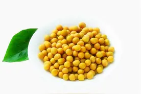 黄豆、花生、黑豆、绿豆、红豆打成豆浆是否可以饮用？看专家理解图片