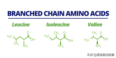 你总想知道氨基酸对健身有什么用？答案全部都在这里