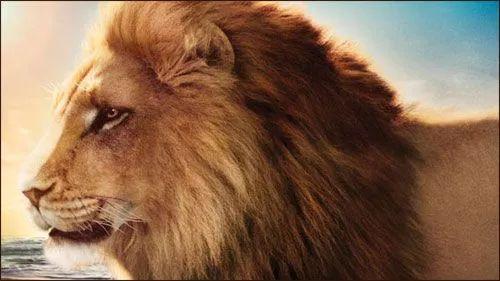 学生暑假阅读推荐：与《哈利波特》齐名的儿童文学促进双语阅读