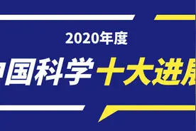2020年度中国科学十大进展公布图片