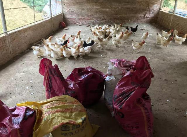 我的世界天启之境鱼鳞剑蓄力