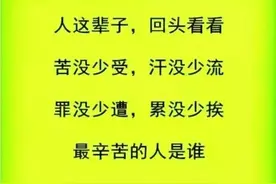 这辈子，回头看看，除了没人疼，全身哪都疼图片