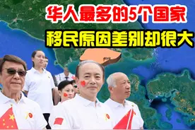 华人最多的5个国家，新加坡上榜，美国后来居上图片