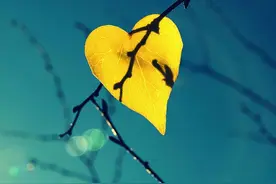 生活中，有三种女人很让人看不起！你遇上过吗？图片