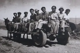 以色列游：基布兹集体农庄图片