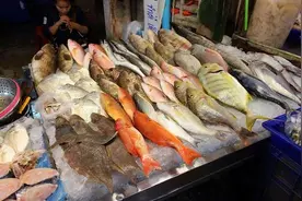 海边人喜欢吃的6种鱼，有2种是日本人最爱，排名第一的是午鱼图片