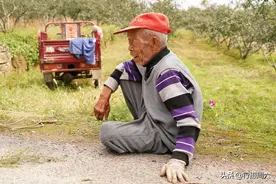 8旬农村老人有7个子女，自食其力种10亩花椒，看活的咋样图片