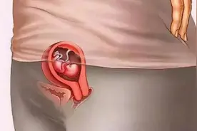 怀胎十月，妈妈每个月身体会发生什么变化？生而为人须了解图片