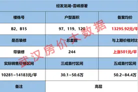 武汉房价：经发龙湖·雲峰原著 高层均价13296元 别墅均价19263元图片