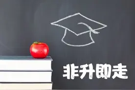 高校非升即走本质还是内卷，在哪些专业当教授没失业压力？图片