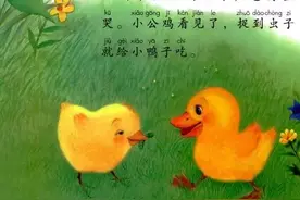 部编版一年级语文下册课文朗读丨课文5：小公鸡和小鸭子图片