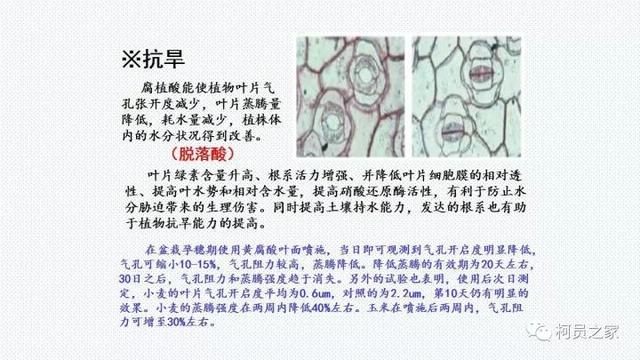 氨基酸、腐殖酸、黄腐酸都是什么东东？有啥用？