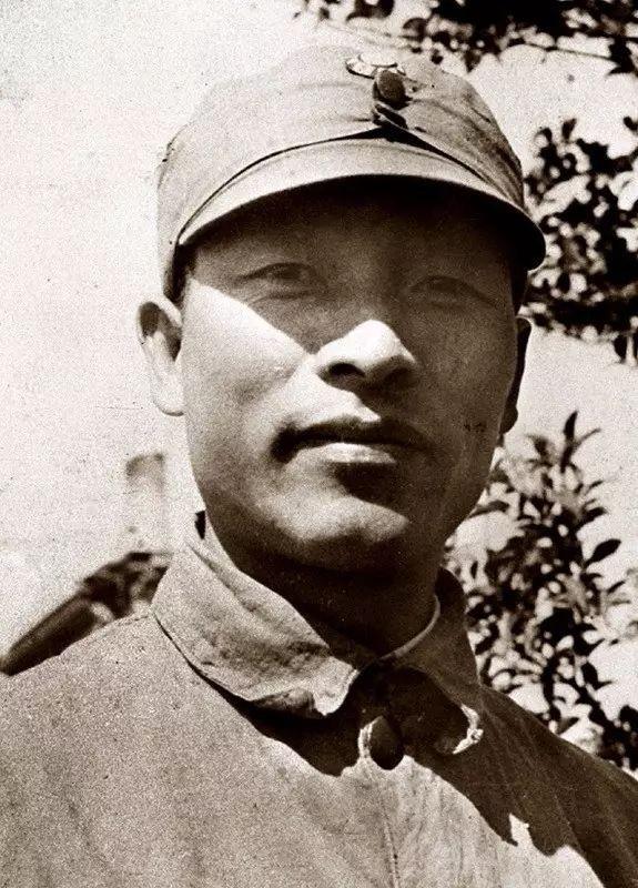 郑万高铁开通，南阳是最大赢家