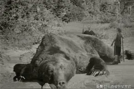 日本食人猛兽：专门猎守年轻女子，令人闻风丧胆，捕获后被人分食图片